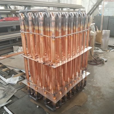 O fungo Hericium do secador de gelo do vácuo do Durian da manga da morango cresce rapidamente máquina de secagem