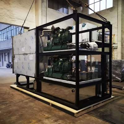 Máquina fria de tempero do secador do café da fermentação da máquina de secagem do gelo do vácuo SS304