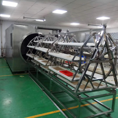 Secador 9.6kg/H do vácuo da micro-ondas de WKS ao desidratador da transformação de produtos alimentares 12kg/H