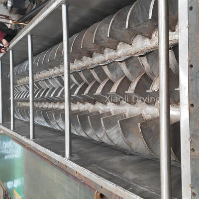 Secador de pá oca para processamento de alimentos Equipamento industrial altamente eficiente