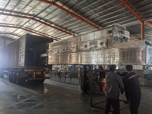 Máquina mais seca do transporte mais seco contínuo de aço inoxidável da esterilização da micro-ondas da correia