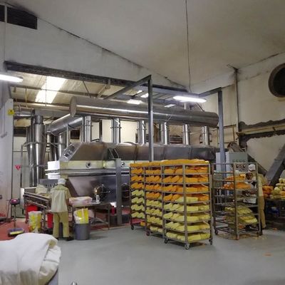 O secador da cama de líquido do Vibro de WKS zinca uma máquina mais seca da pelota do polipropileno do heptaidrato do sulfato