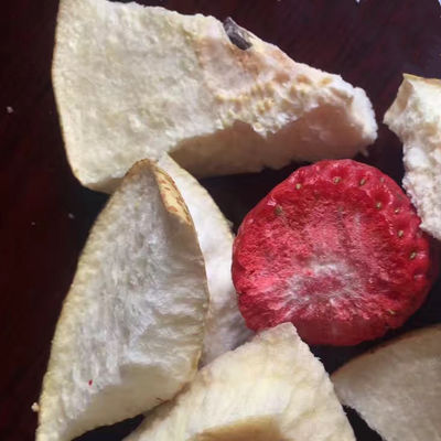 Secador do pepino de mar do fruto da máquina de secagem do gelo do vácuo do fitoterapia