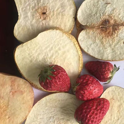 Batata Chips Drying Machine do PLC do secador de gelo do vácuo do Jackfruit da morango do iogurte
