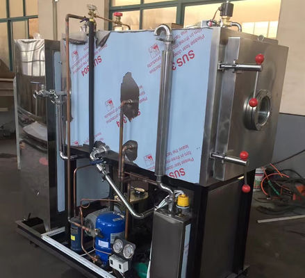 Secador dos vegetais e dos frutos dos alimentos para animais de estimação do equipamento de secagem do gelo do vácuo do ODM do OEM