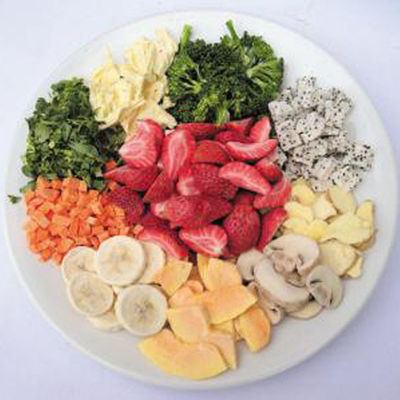 Gelo automático vegetal da máquina de secagem do arroz do alimento imediato câmara de vácuo seca do grande