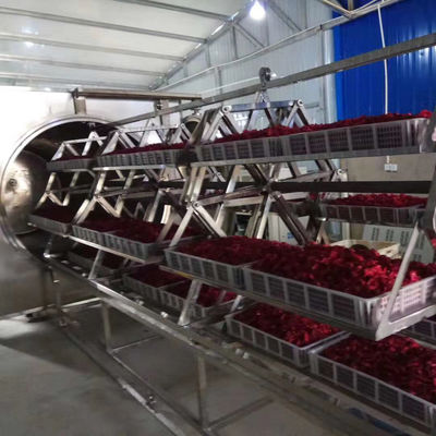 forno de secagem de aço inoxidável do fruto do desidratador 304 do vácuo da micro-ondas 38.4-48kg/H